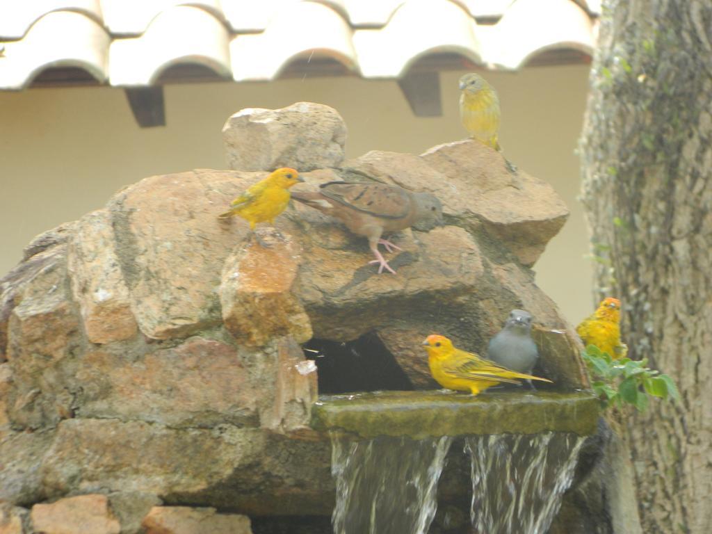 Pousada Nova Estancia Socorro  Exterior foto
