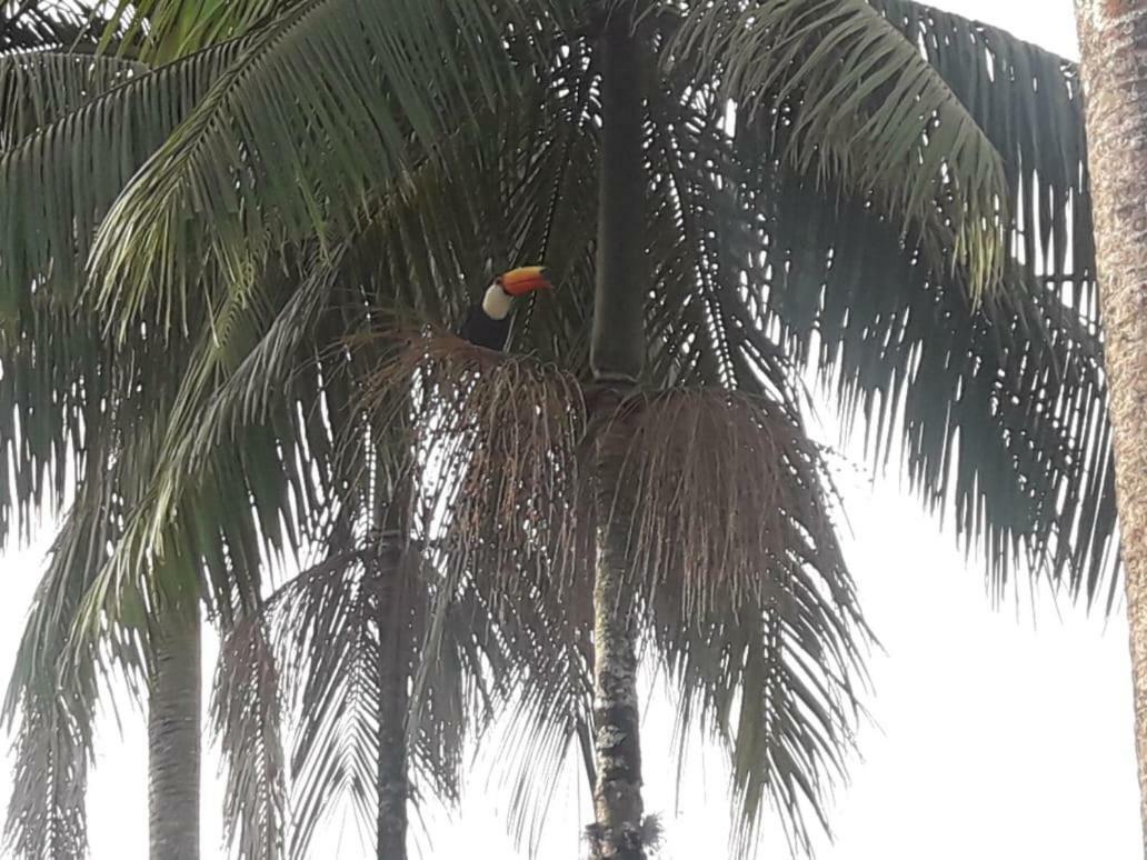 Pousada Nova Estancia Socorro  Exterior foto